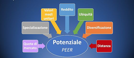Analisi dei PEER